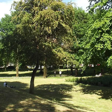 Semesterbostad Evergreen Road